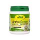  Buy ArthroGreen Junior 100 Capsules in UAE – Joint Health Support for Growing Pets in Dubai & Sharjah