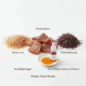 WINNER PLUS Super Premium Salmon & Rice 3KG| Best Hypoallergenic Dog Food UAE