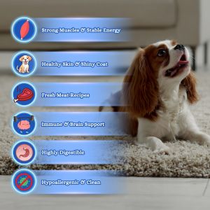 WINNER PLUS Professional Premium Athletic | Best Performance Dog Food UAE