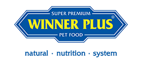 Winner Plus